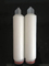 Nylon Micro Pleated Filter Cartridge for Wine Final Filtration