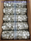 Sterile Syringe Filter PTFE Disposable Medical Level Polypropylene Syringe Filter