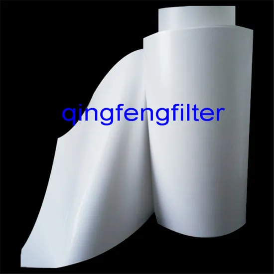 0.22um Micron Hydrophilic Pes Filter Membrane for Pharmaceutical and Biochemistry