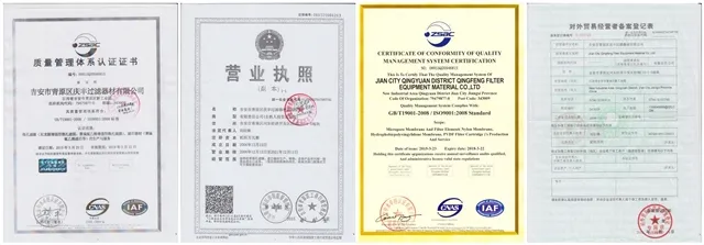 0.1 Micron Hyrophobic PTFE Filter Cartridge for Air Filtration and Aseptic Filtration