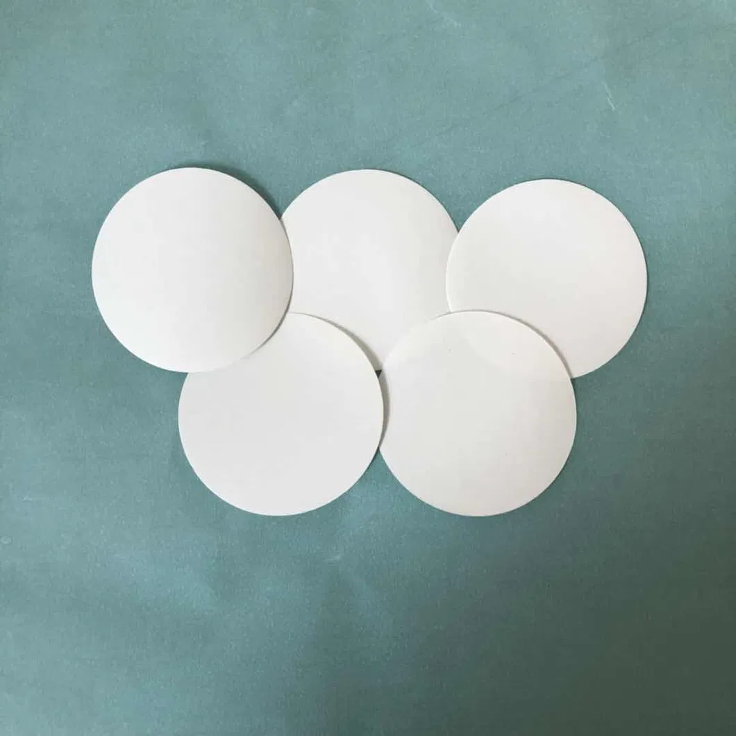 Disc and Roll Hydrophilic &amp; Hydrophobic PTFE Filter Membrane